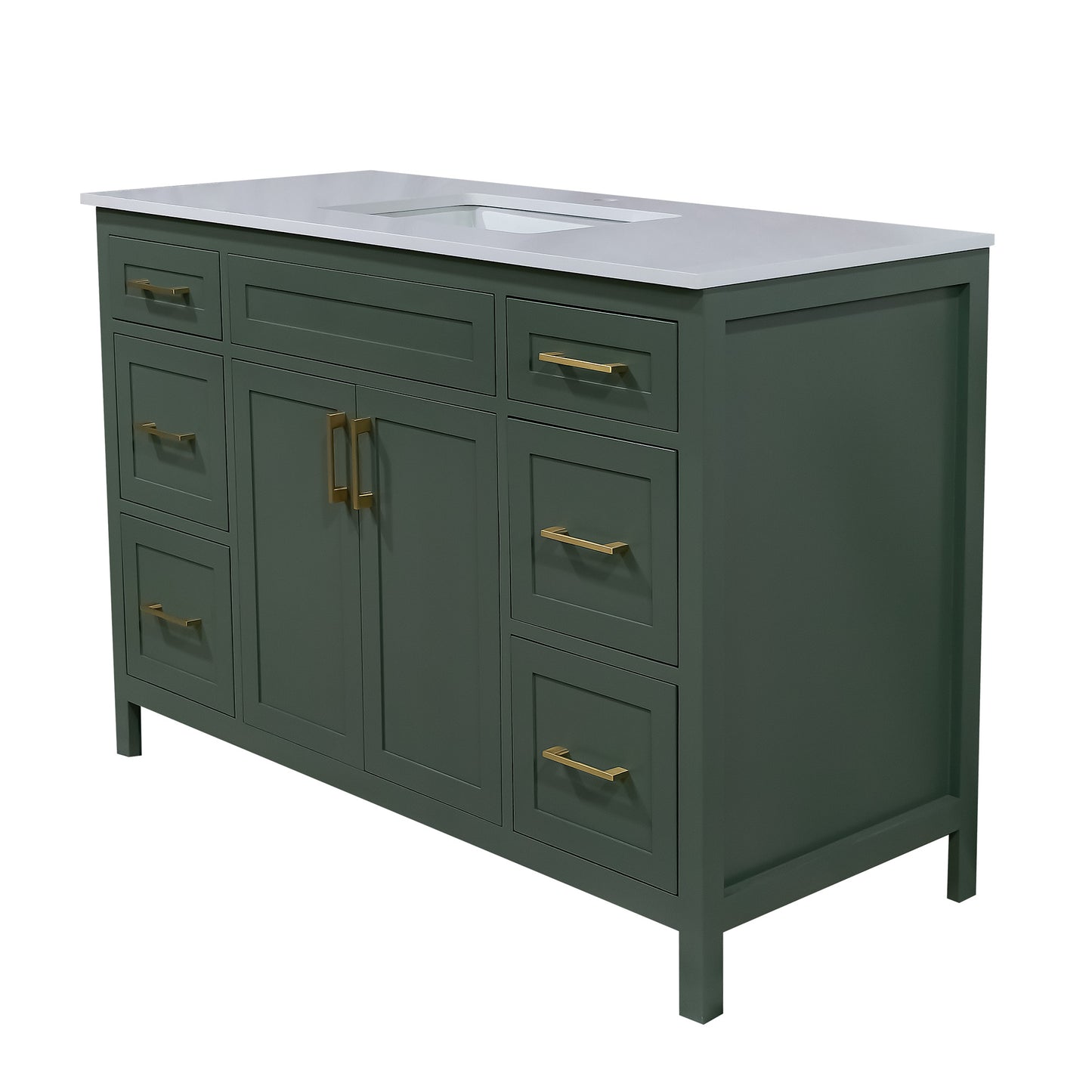 Octavia lush 48" wood vanity 6 drawers with top and sink