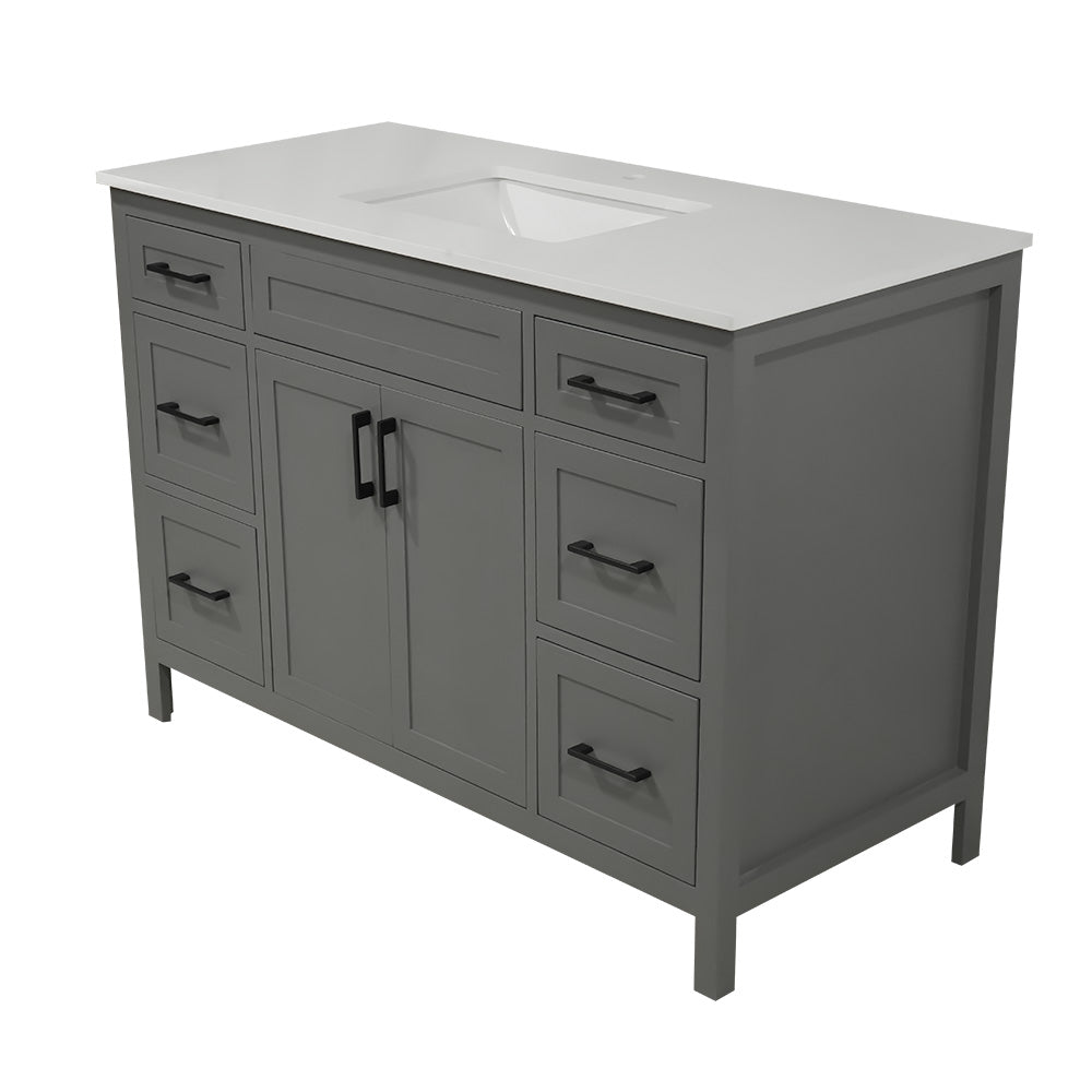 48" Amherst gray color 2 doors 6 drawers wood vanity